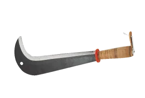 Serpe suisse, 43 cm